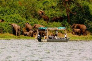 12 Days Uganda Honeymoon Safari