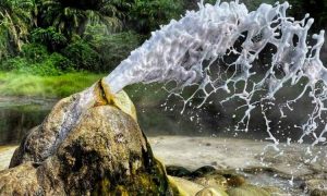 12-Day Uganda Wilderness Safari: