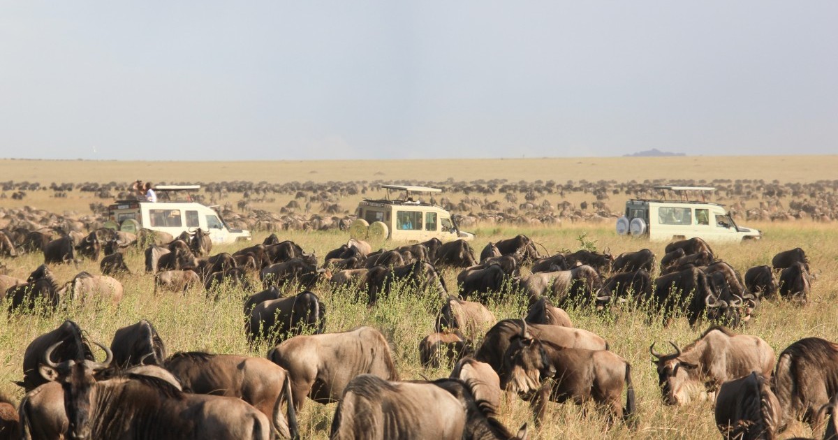 10 Day Ultimate Kenya tour