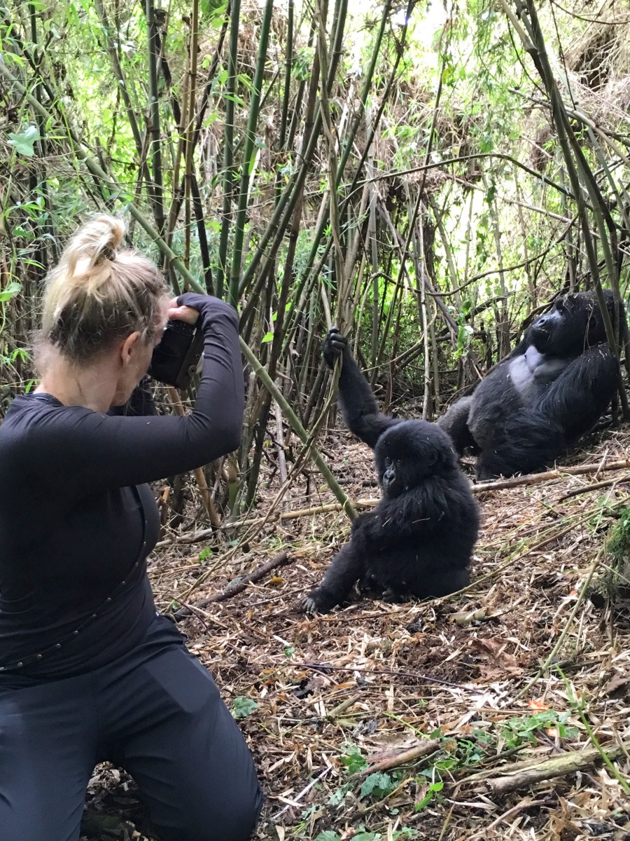 3 Days Luxury Uganda Gorilla Trekking