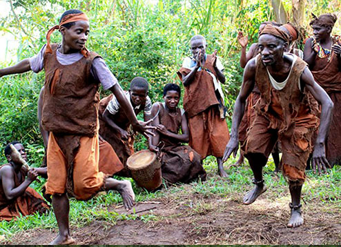 Bwindi Impenetrable Forest National Park