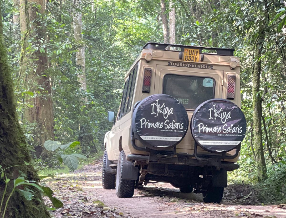 Gorilla trekking days needed in Uganda