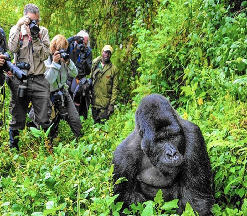 Safari Tipping Guide Uganda
